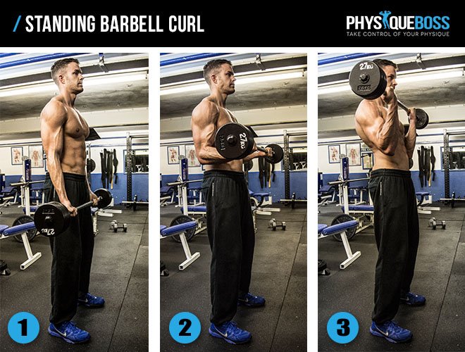 standing biceps curl