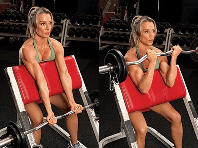 sitting biceps curl